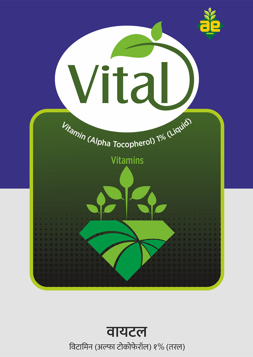 Water Soluble Fertilizers Placeholder